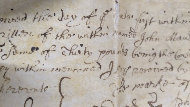 Close-up of text from an 18th century record. The handwriting is difficult to read and exemplifies the style of the time.