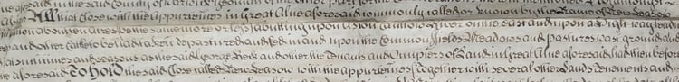 A close-up shot, showing an extract of one document from the collection.