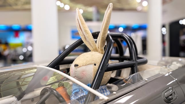 Easter Bunny in Car 
